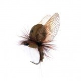 Mayfly Emergente