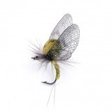 Mayfly Emergente