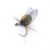 Mayfly Emergente