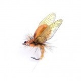 Mayfly Emergente