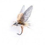 Mayfly Emergente