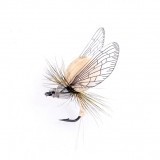 Mayfly Emergente