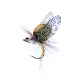 Mayfly Emerger