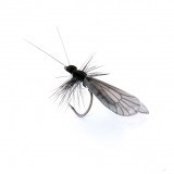 Mouche Caddis Adulte