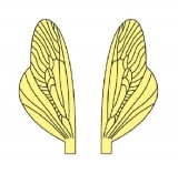 Wings of Spent Caddisfly and Stonefly <br /> Yellow SPW-1-Y
